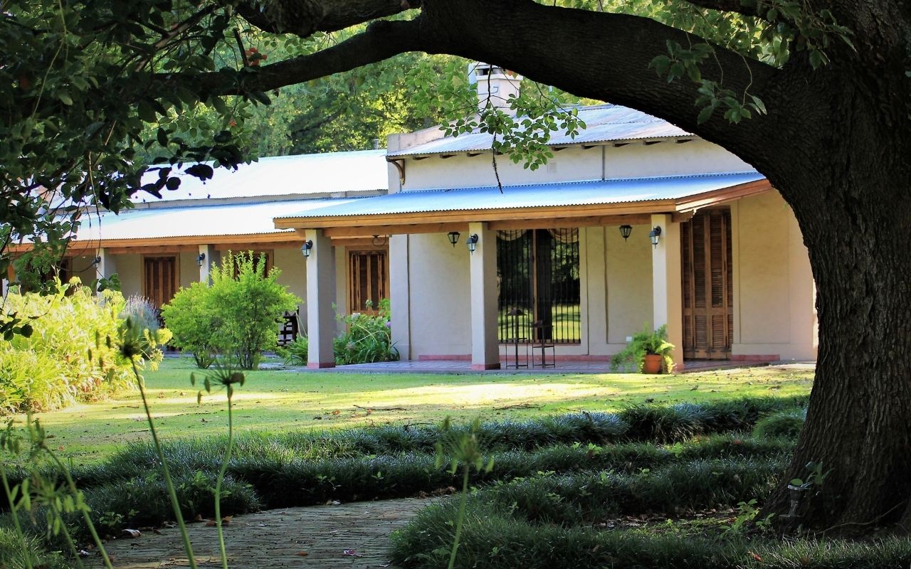 Imagen de galería 13