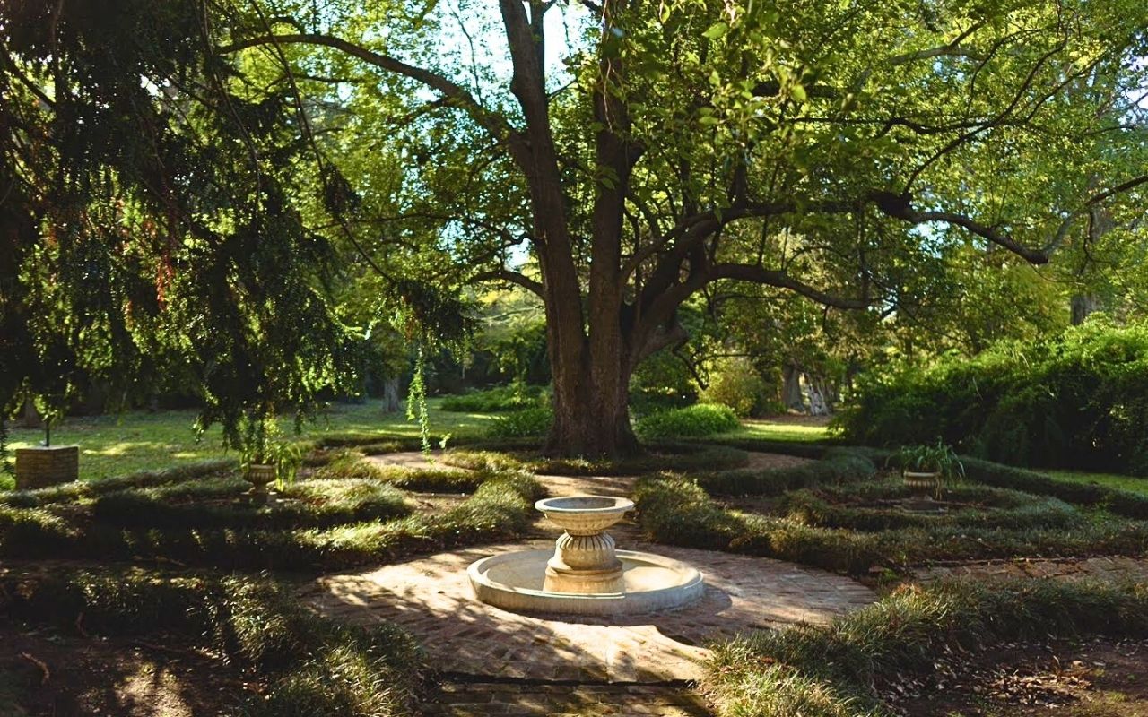 Imagen de galería 14