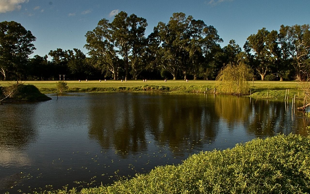 Imagen de galería 15