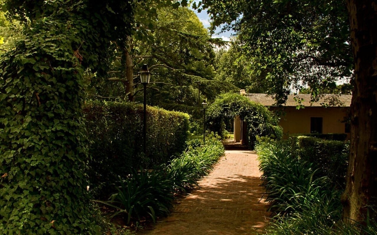 Imagen de galería 3