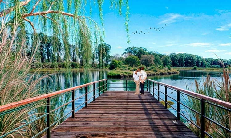 Laguna con Muelle